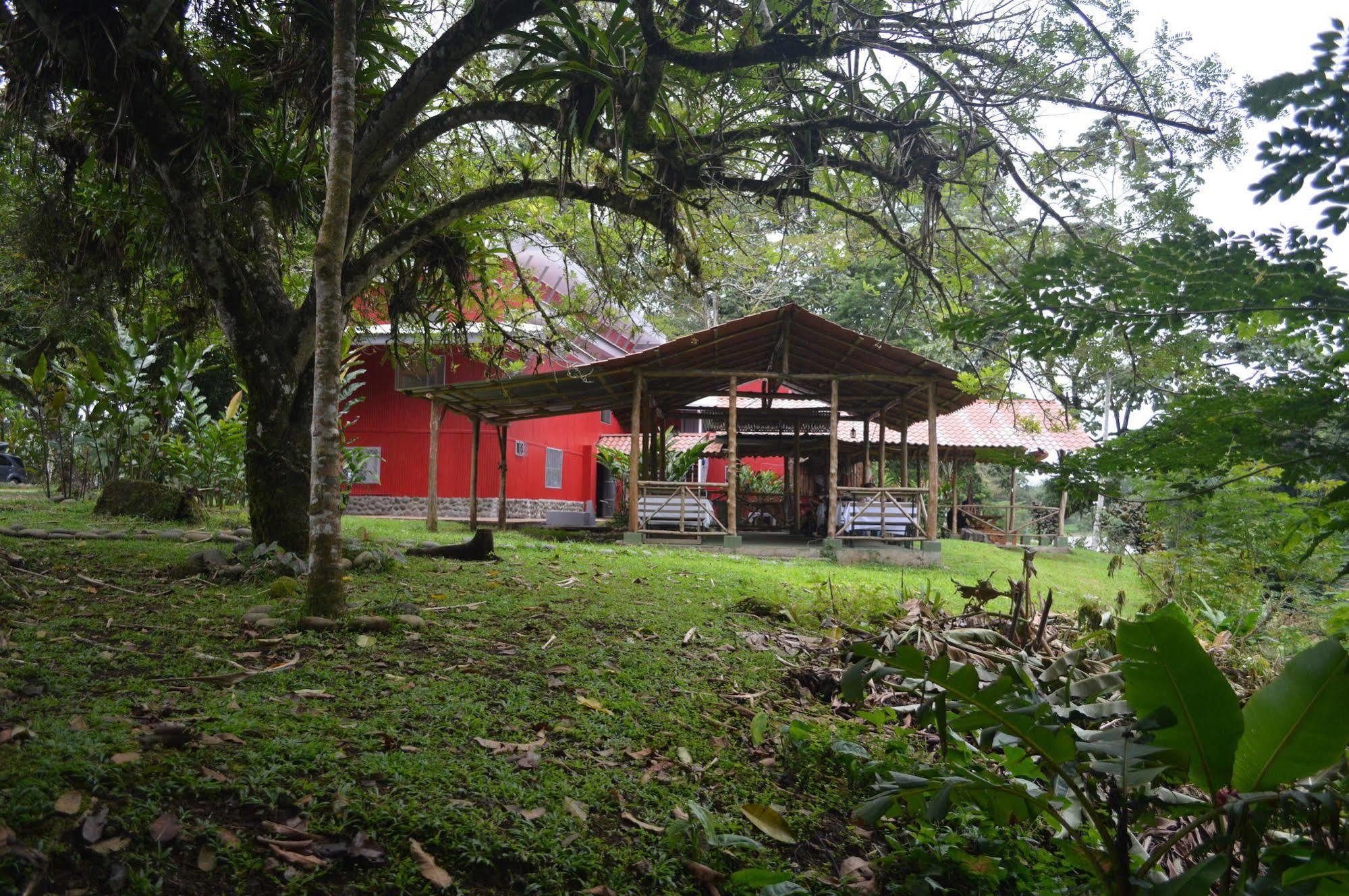 Islas Del Rio Hostel Tirimbina Exterior photo